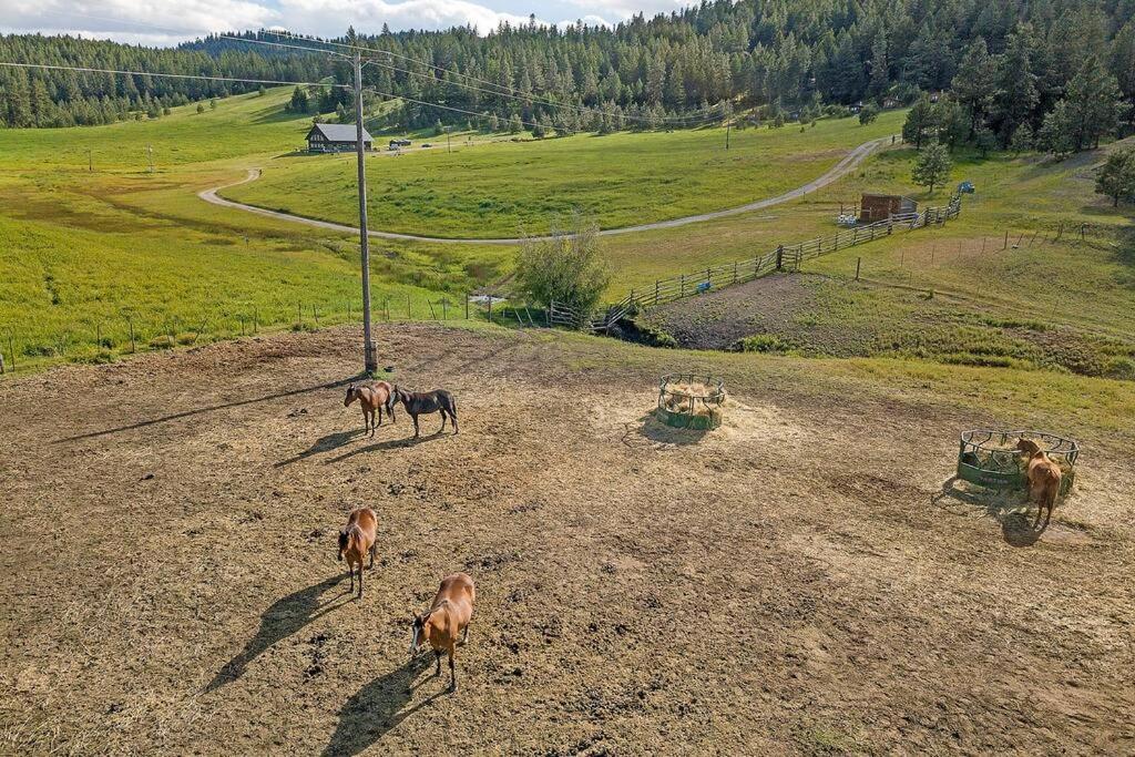 Wilderness Cabin - Eden Valley Oroville Zewnętrze zdjęcie